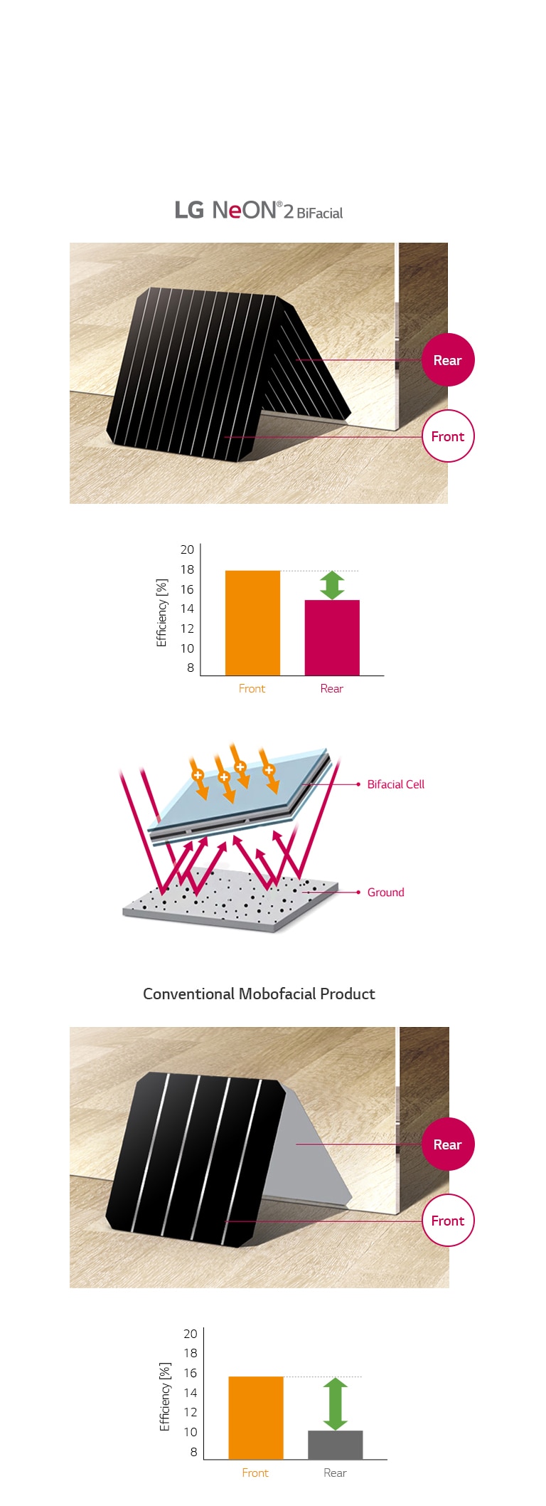 Estrutura da célula com produção em ambas as faces